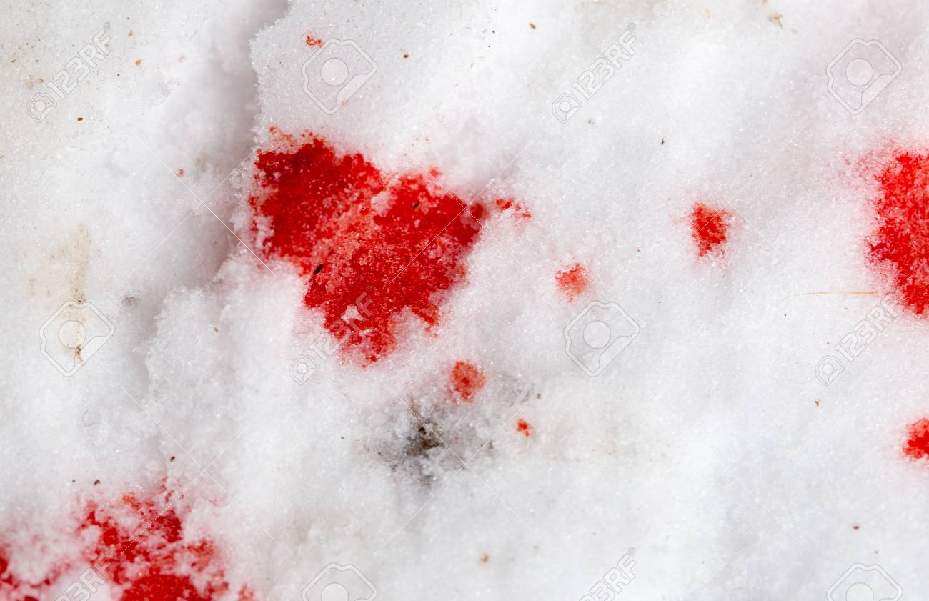 Blood on the Snow