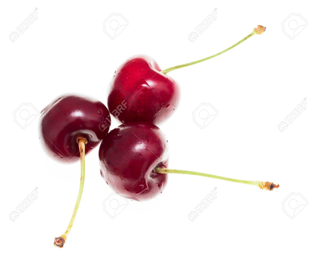 etiam-dictum-ipsum-a-felis