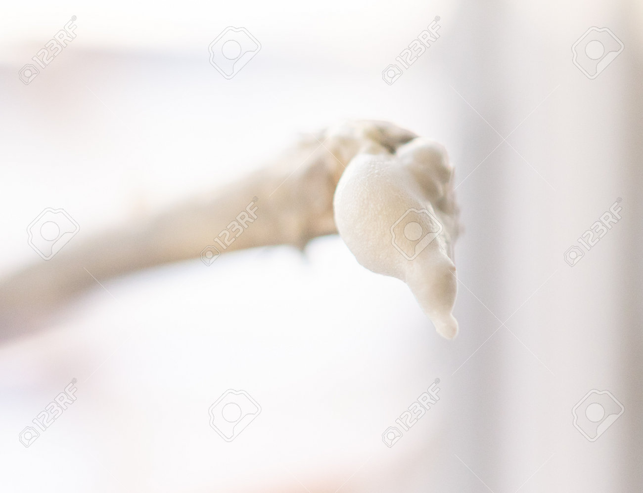 etiam-dictum-ipsum-a-felis