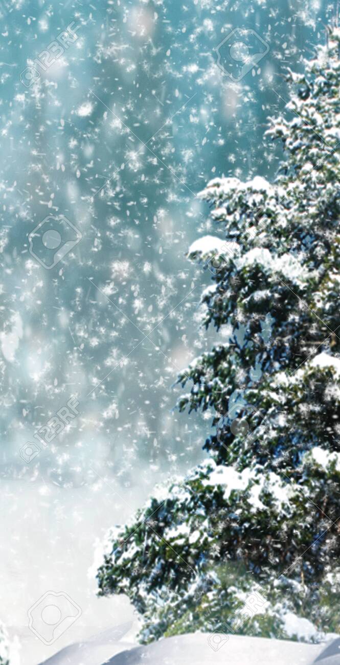 Abstract Winter Christmas Background With Shiny Snow And Blizzard. Soft Focus. Space For Text. Vertical For Stories Stock Photo, Picture And Royalty Free Image. Image 135897494. Abstract Winter Christmas Background With Shiny Snow And Blizzard. Soft Focus. Space For Text. Vertical For Stories Stock Photo, Picture And Royalty Free Image. Image 135897494.