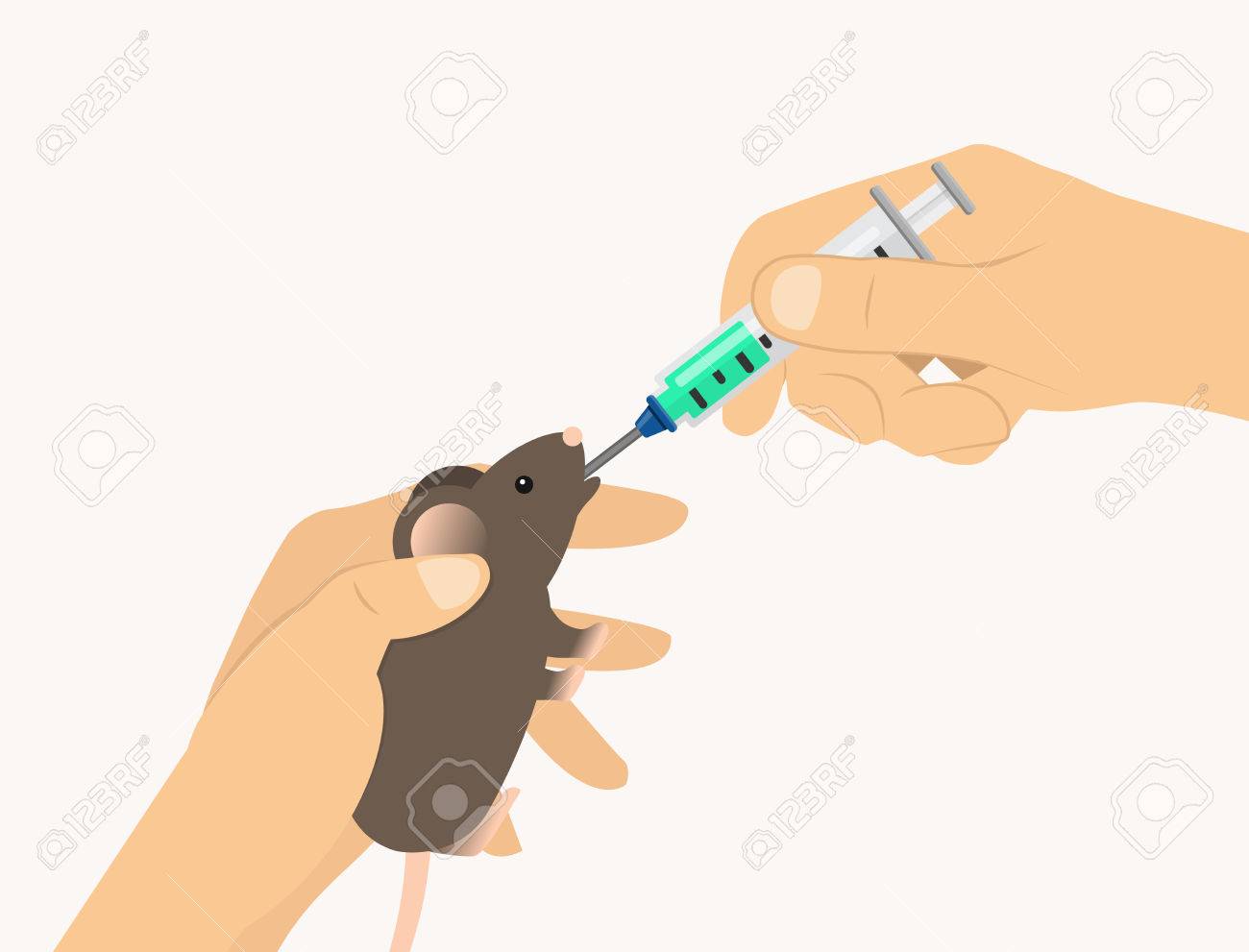 マウスのフラット デザインの口の中に有毒な注入物質を試験動物 のイラスト素材 ベクタ Image