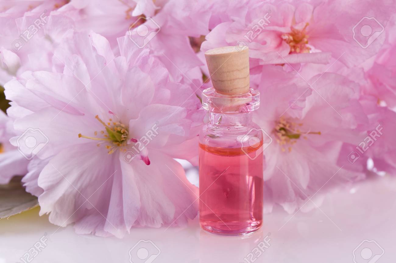Pink Blossom Flower And Aroma Essence Stock Photo Picture And Royalty Free Image Image 5655