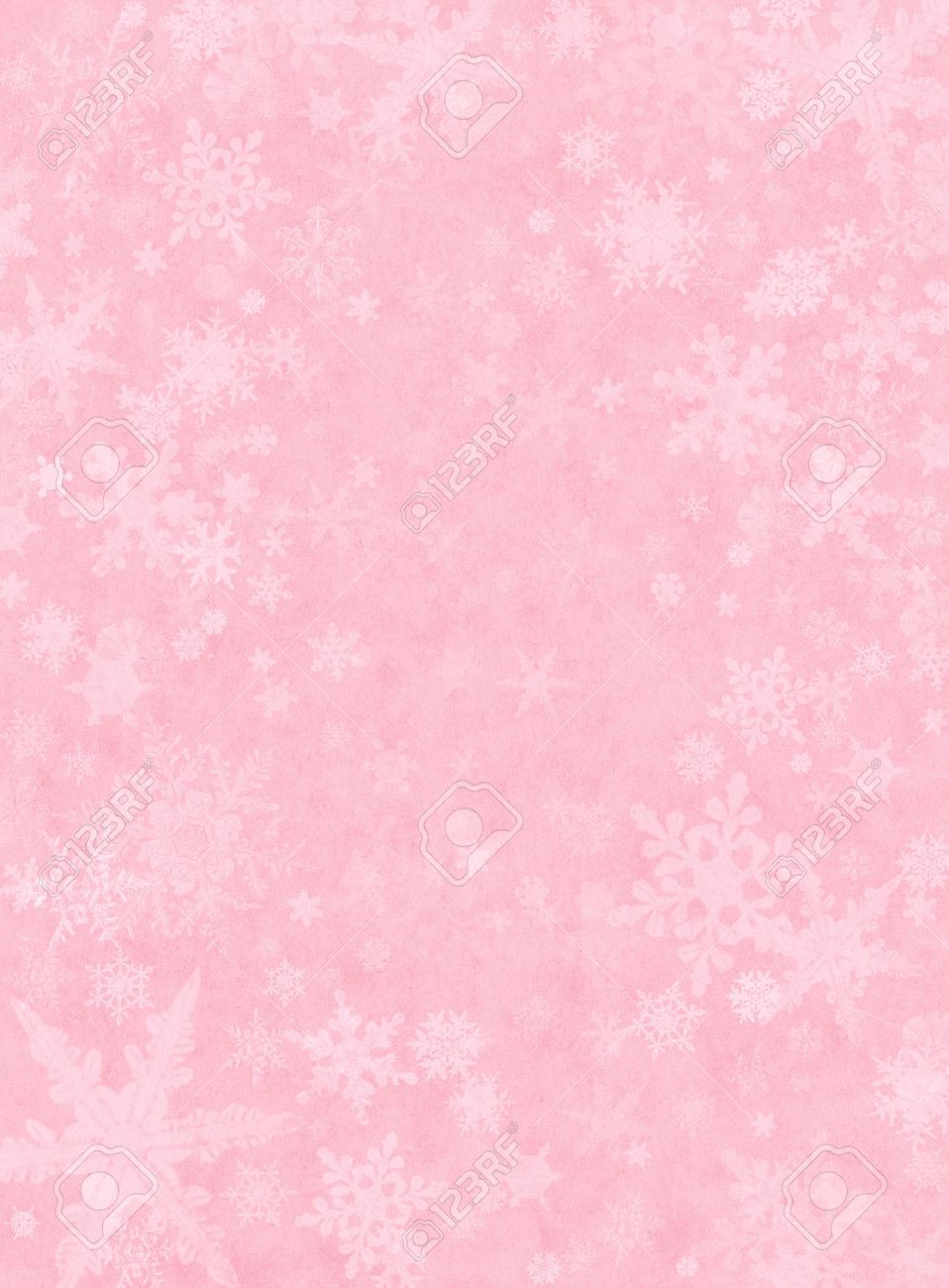 snowflakes on a light pink paper background stock photo picture