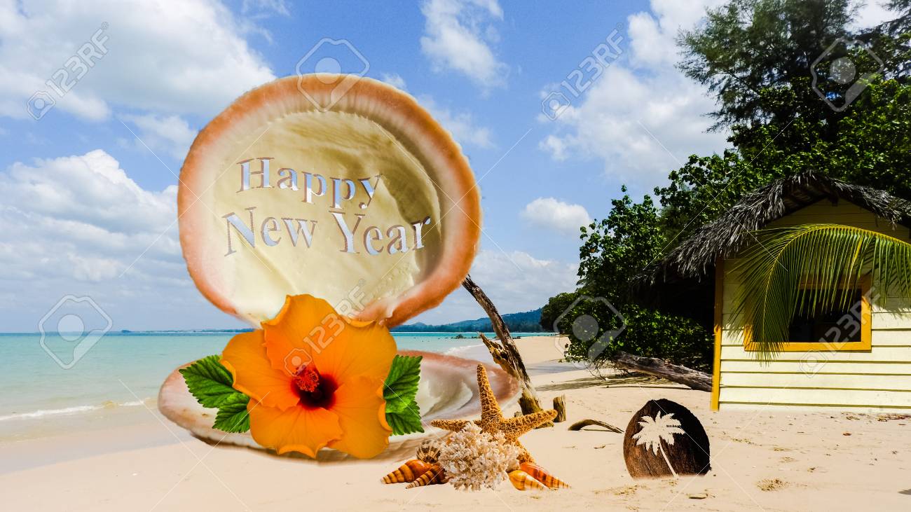 シェルとココナッツ ビーチ画像 の写真素材 画像素材 Image 1718