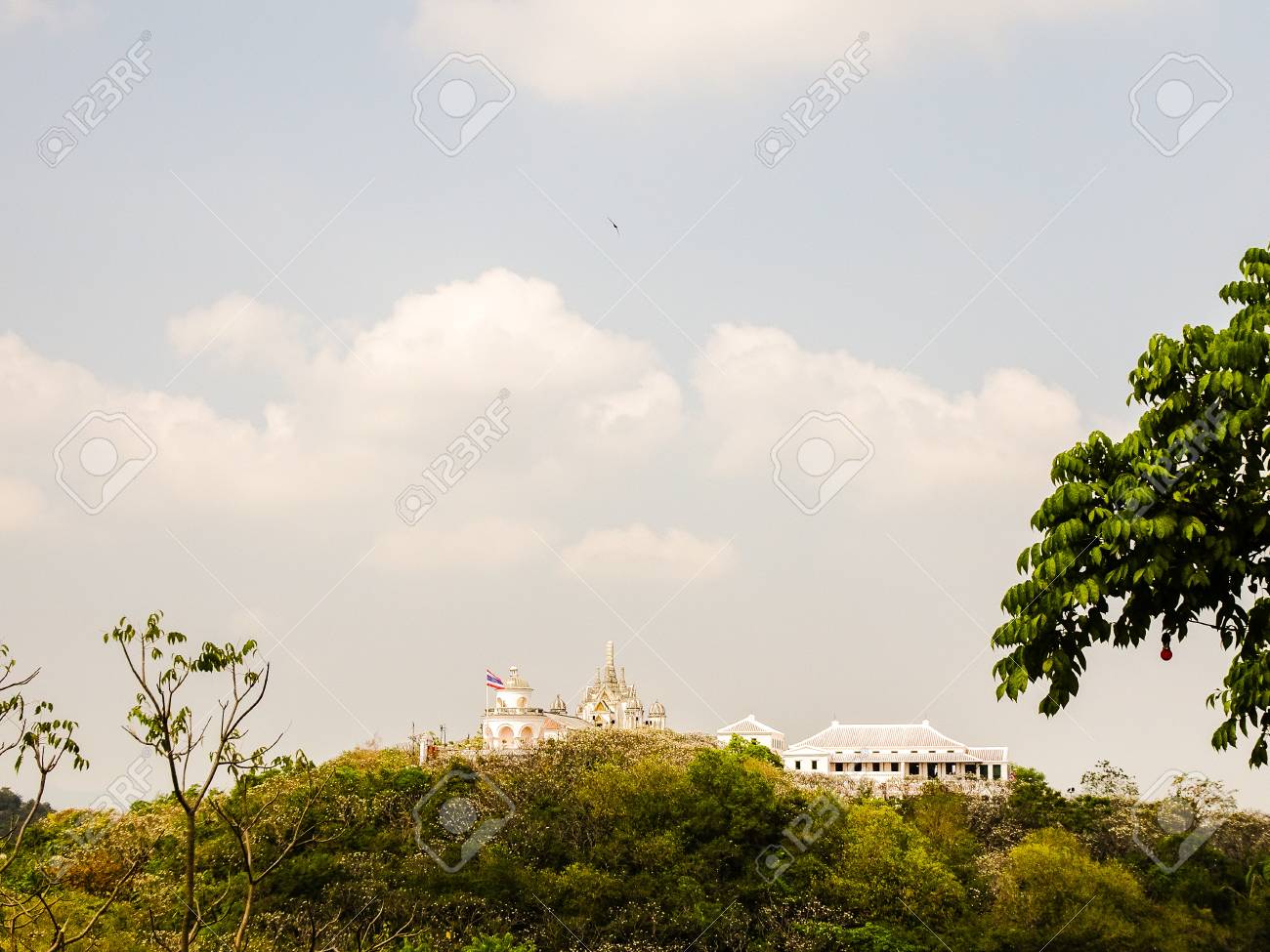 etiam-dictum-ipsum-a-felis