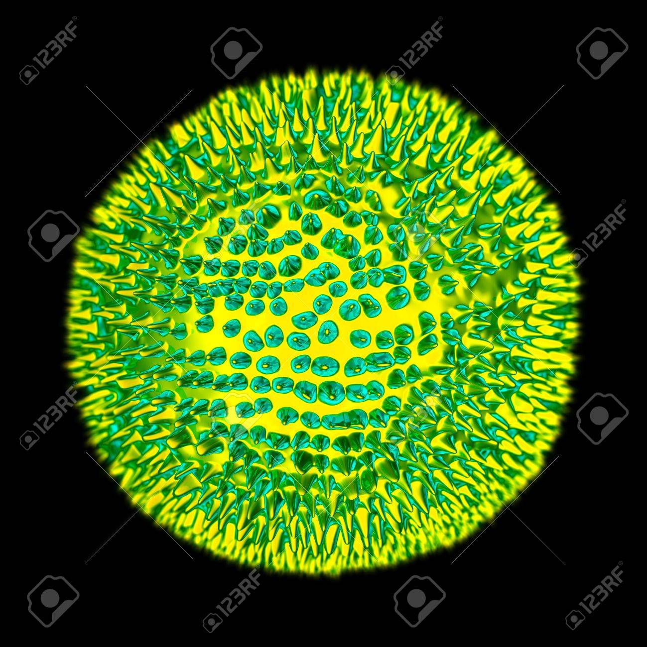 virus rubeola virus rubeola