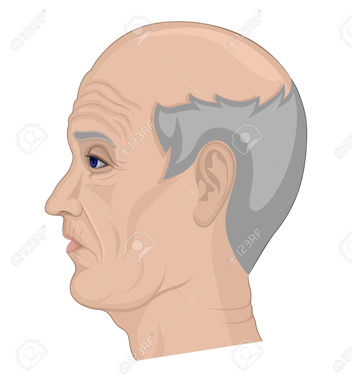 灰色の髪と禿げ頭側で描かれる老人のイラストのイラスト素材 ベクタ Image 灰色の髪と禿げ頭側で描かれる老人のイラストのイラスト素材 ベクタ Image