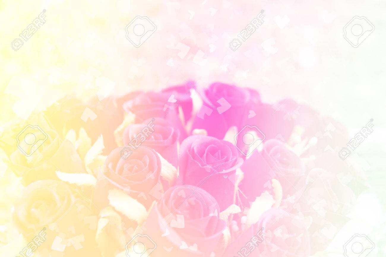 Couleur Rose Poudré Fleur Rose Fleurs Et