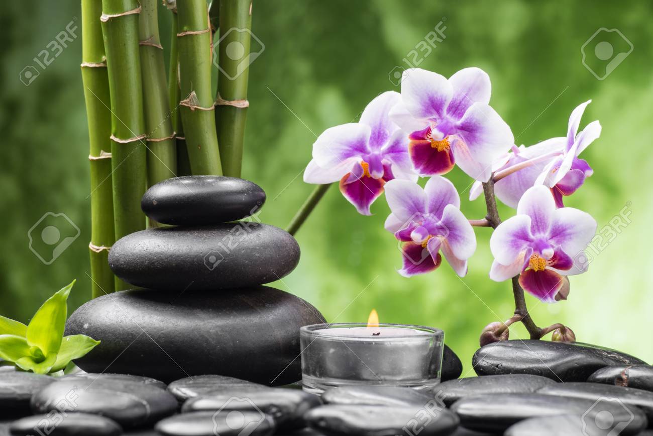 Spa Still Life With Zen Basalt Stones Orchid And Bamboo With Stock Photo Picture And Royalty Free Image Image