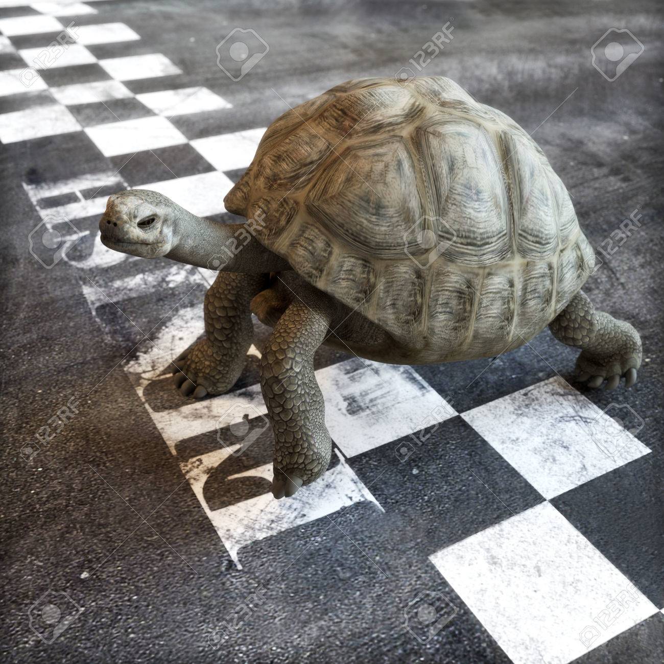Slow Turtle Crossing >> Slow And Steady Wins The Race A Turtle Crossing The Finish Line Slow Turtle Crossing >> Slow And Steady Wins The Race A Turtle Crossing The Finish Line