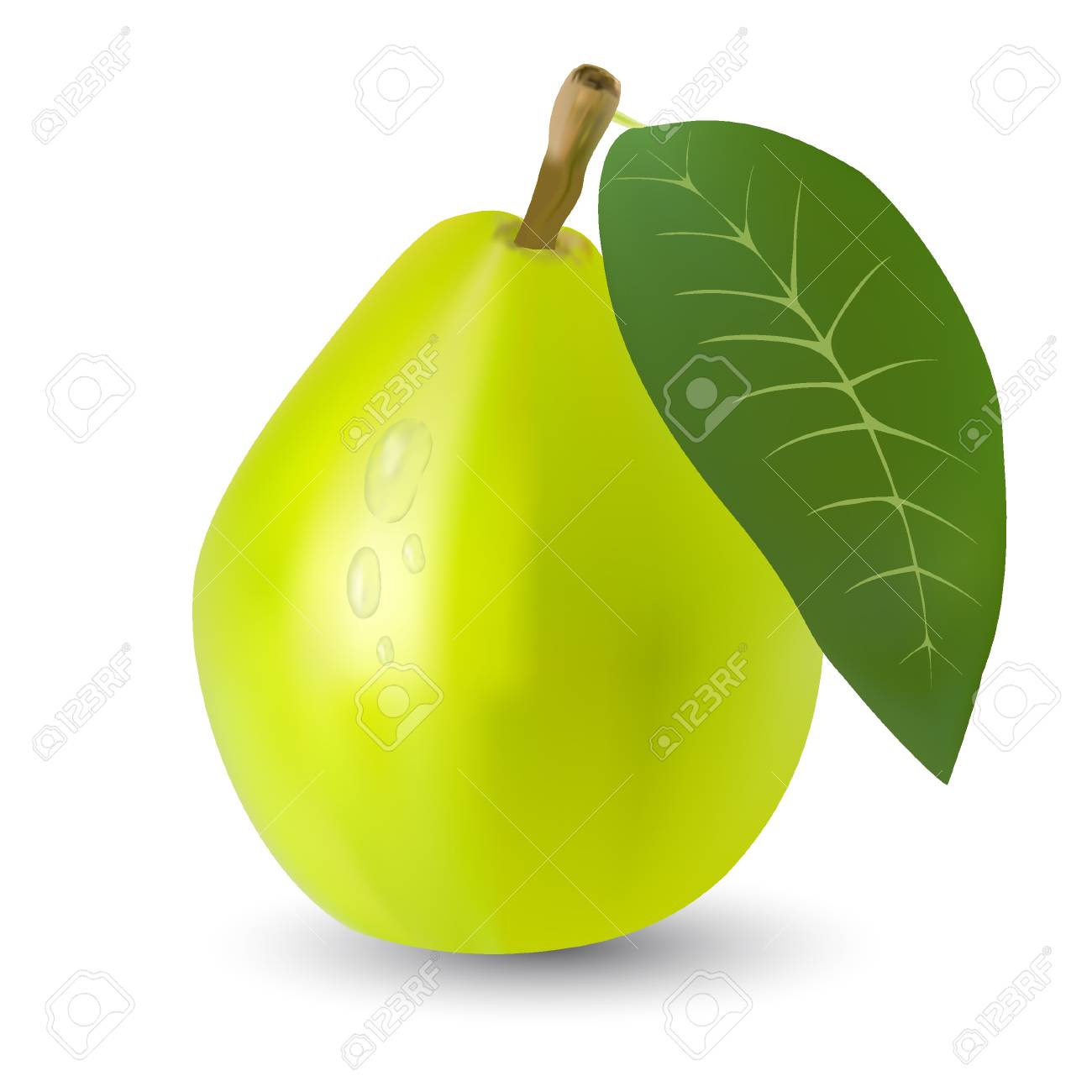 リアルな水滴と熟した緑色の洋ナシ のイラスト素材 ベクタ Image