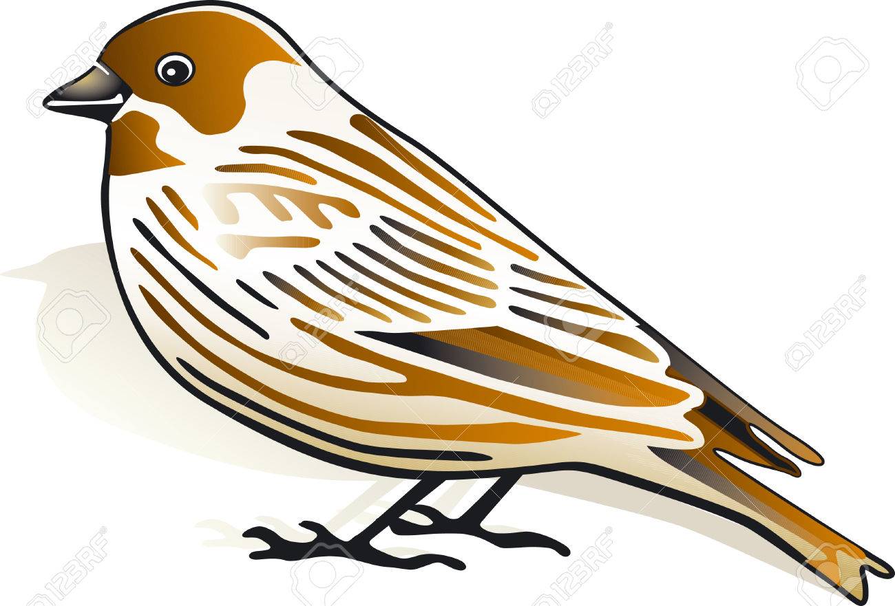 スズメのイラスト素材 ベクタ Image
