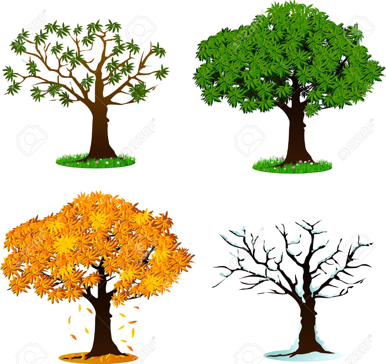 Rbol En Cuatro Estaciones Concepto De Diseno Primavera Verano