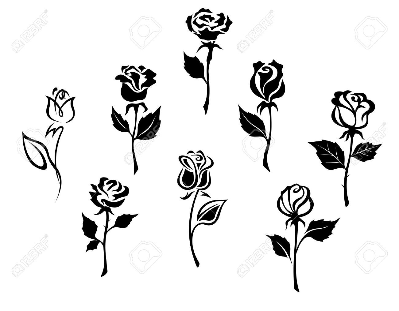 Beautiful Roses Silhouettes Set For Holiday Gift Design Royalty Free Cliparts Vectors And Stock Illustration Image