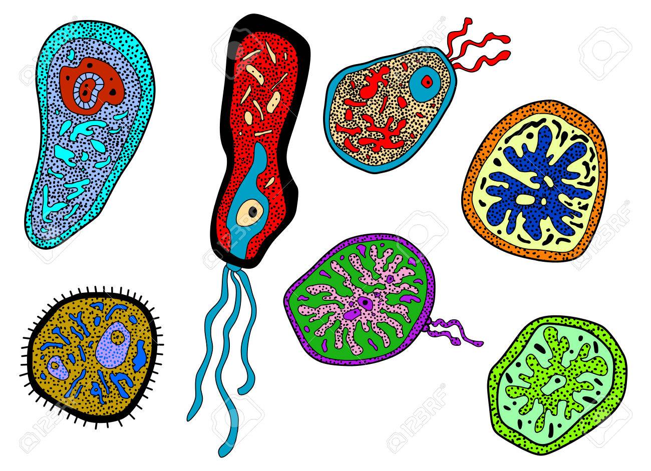 カラフルな漫画カラフルなアメーバ アメーバ 微生物 細菌細菌や微生物の生命科学 医学 生物学の設計のためのイラスト素材 ベクタ Image