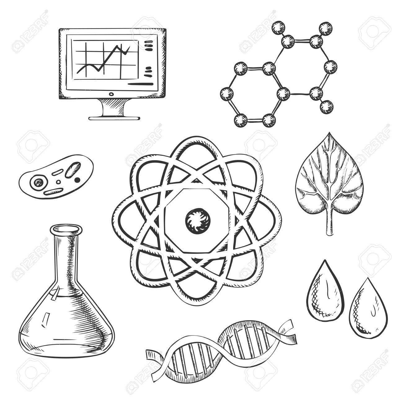 Biology And Chemistry Sketch Icons With Fresh Leaf Surrounded By Round  Icons Depicting Insects, Microscope, Computer, Water, Chemical Analysis,  Atoms For Physics And DNA For Genetics, Vector Illustration Royalty Free  SVG, Cliparts,, image size:1300x1300