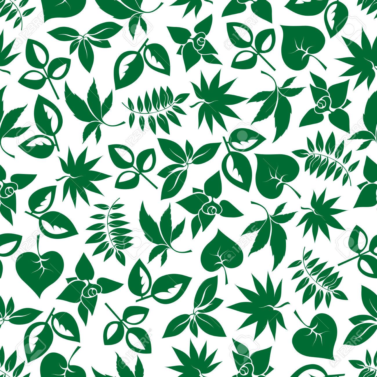 Avoir Images Feuillage Vert Fonce Fond Transparent Pour Le Theme De La Nature dernière par