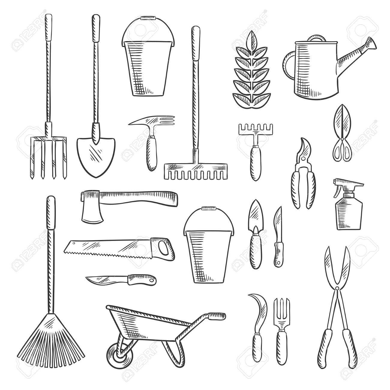 watering can and plant
