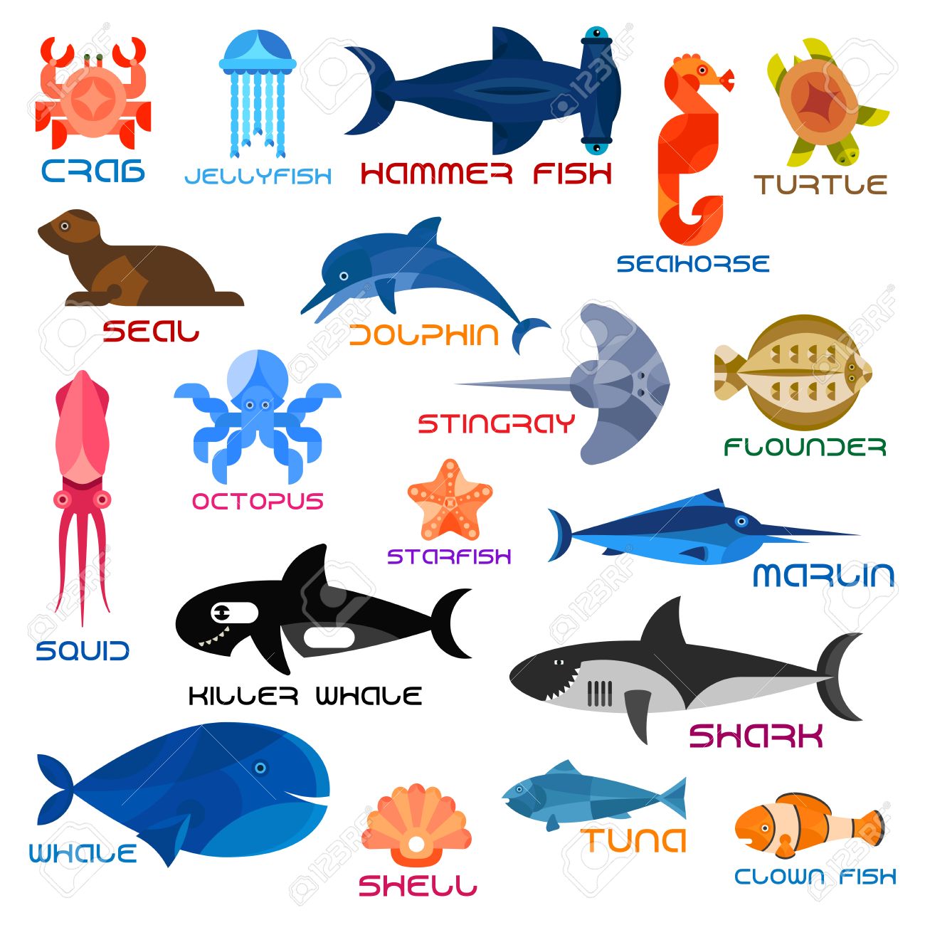 海洋水族館の動物 魚 カニ クラ ゲ シュモクザメの魚 タツノオトシゴ カメ シール イルカ イカ タコ アカエイ ヒラメ ヒトデ カジキ シャチ サメ クジラ シェル マグロ カクレクマノミの海と海のベクトルのアイコンのイラスト素材 ベクタ Image