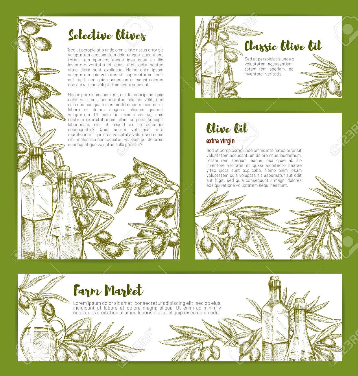 Plantillas De Boceto De Aceite De Oliva Para La Nutrición Del ... Plantillas De Boceto De Aceite De Oliva Para La Nutrición Del ...