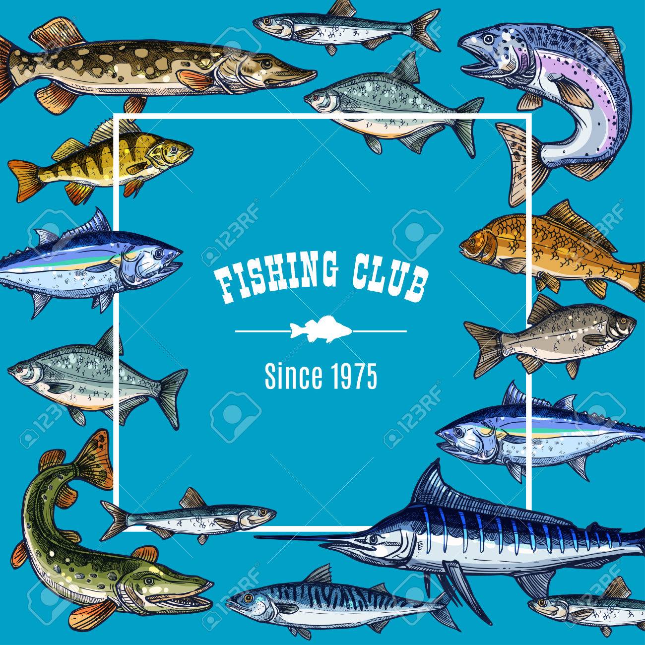 vector sketch poster template for fishing club fishing template