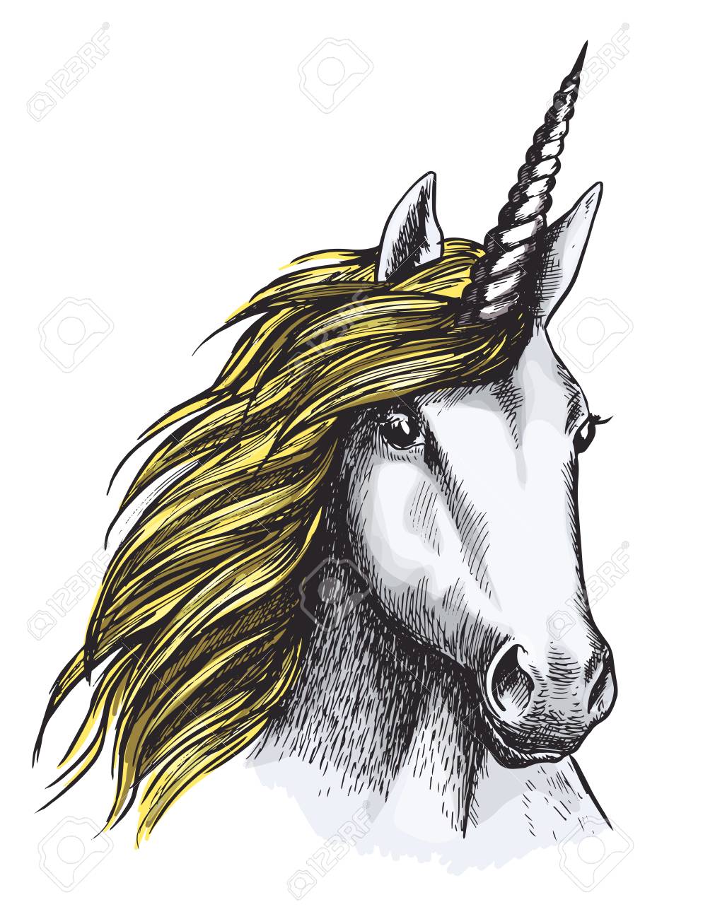 ベクター スケッチ ユニコーン馬神秘的な魔法動物 のイラスト素材 ベクタ Image ベクター スケッチ ユニコーン馬神秘的な魔法動物 のイラスト素材 ベクタ Image