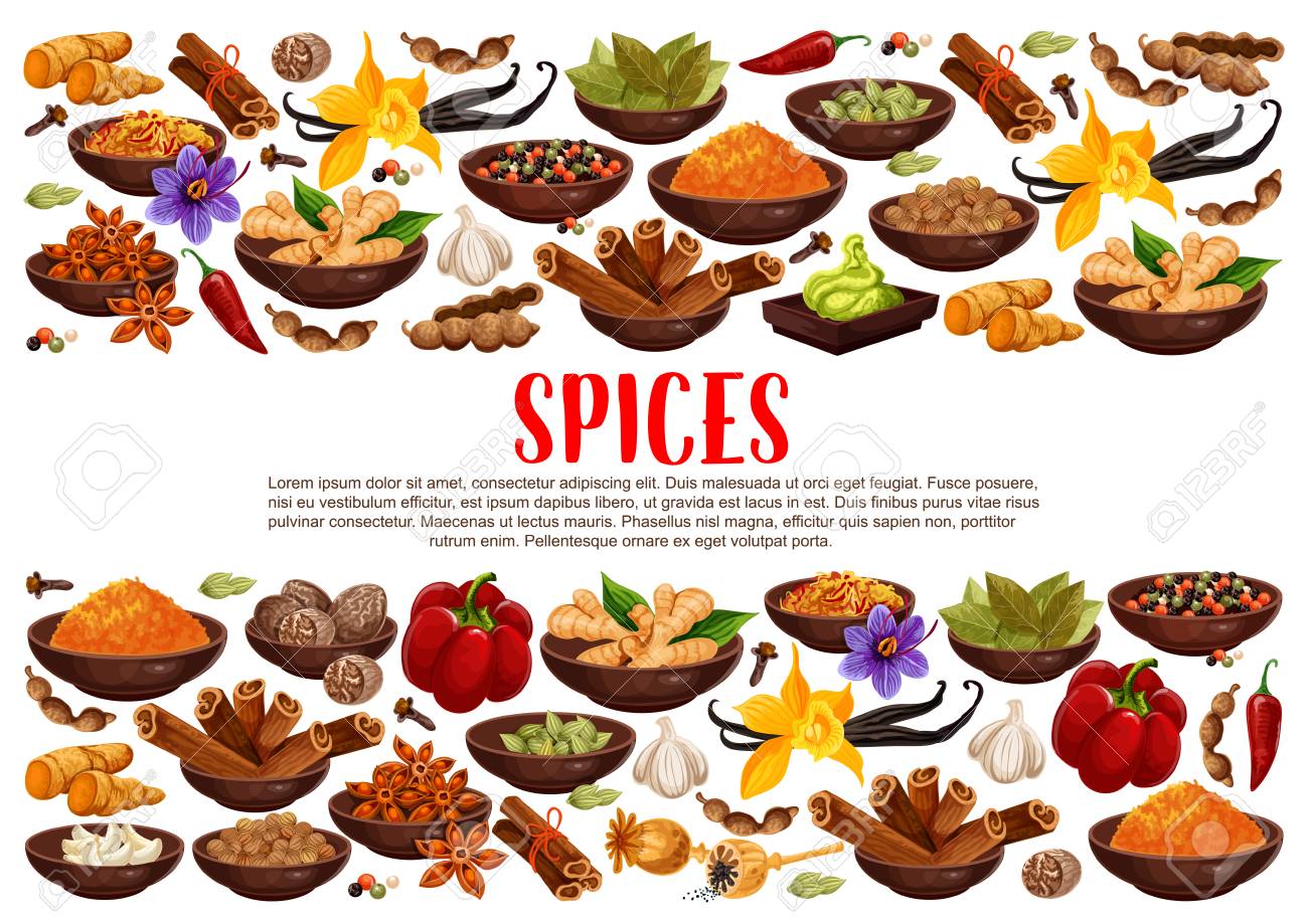Fragrant spices and condiments from India. Ginger and cinnamon, bay leaves and vanilla, anise star and hot chilli pepper. Piquant curry and nut meg, garlic and saffron, wasabi sauce vector - 114937148 Fragrant spices and condiments from India. Ginger and cinnamon, bay leaves and vanilla, anise star and hot chilli pepper. Piquant curry and nut meg, garlic and saffron, wasabi sauce vector - 114937148