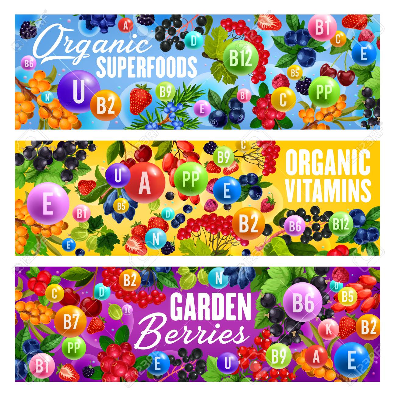 Berries full of vitamins, organic superfood. Vector and cranberry, strawberry and cherry and goji, currant and raspberry. Vegetarian and vegan food, dietary nutrition veggies - 118523370 Berries full of vitamins, organic superfood. Vector and cranberry, strawberry and cherry and goji, currant and raspberry. Vegetarian and vegan food, dietary nutrition veggies - 118523370
