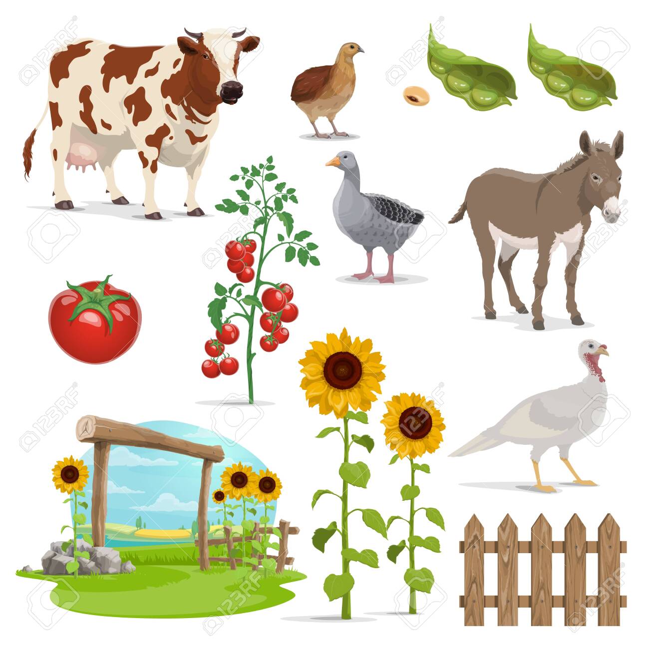 Farm And Agriculture Vector Field Animals Vegetable Food And Crop Plants Farmer Field Milk Cow And Village Nature Bean Grains Tomatoes Sunflowers And Fence Goose Turkey Quail And Donkey Royalty Free Cliparts