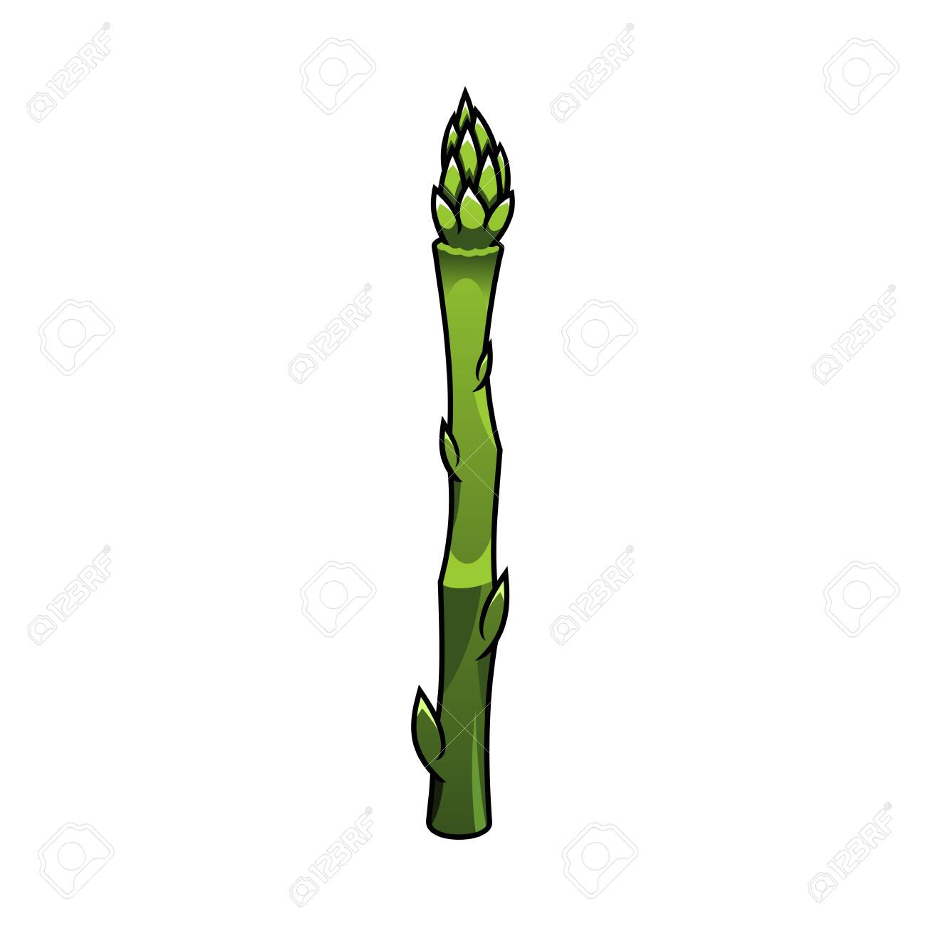 Asparagus Cartoon Vector Illustration. Sparrowgrass Color Clipart.  Vegetable Isolated Design Element On White Background. Healthy Nutrition,  Diet. Vegetarian Food Flat Patch, Sticker Royalty Free SVG, Cliparts,  Vectors, and Stock Illustration. Image ...