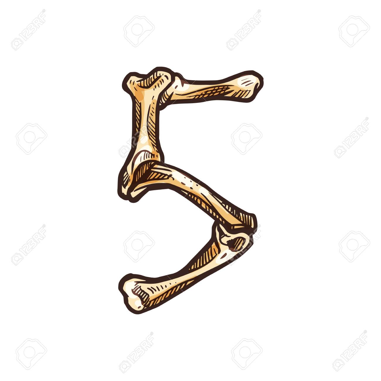 Кости число 1 картинка. Кости с цифрами. Цифры вектор из костей. Кости число 1 картинка. Косточка с номером эскиз.