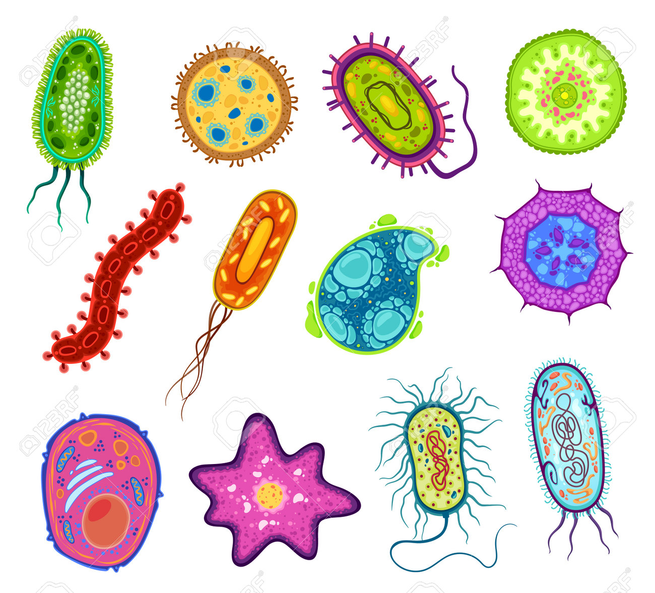 Células De Microorganismos Protozoos, Protistas Y Amebas, Microorganismos  Vectores. Células Unicelulares De Ameba Y Protista En Microscopio De  Laboratorio, Tipos De Organismos Eucariotas Protozoarios Ilustraciones svg,  vectoriales, clip art vectorizado ...