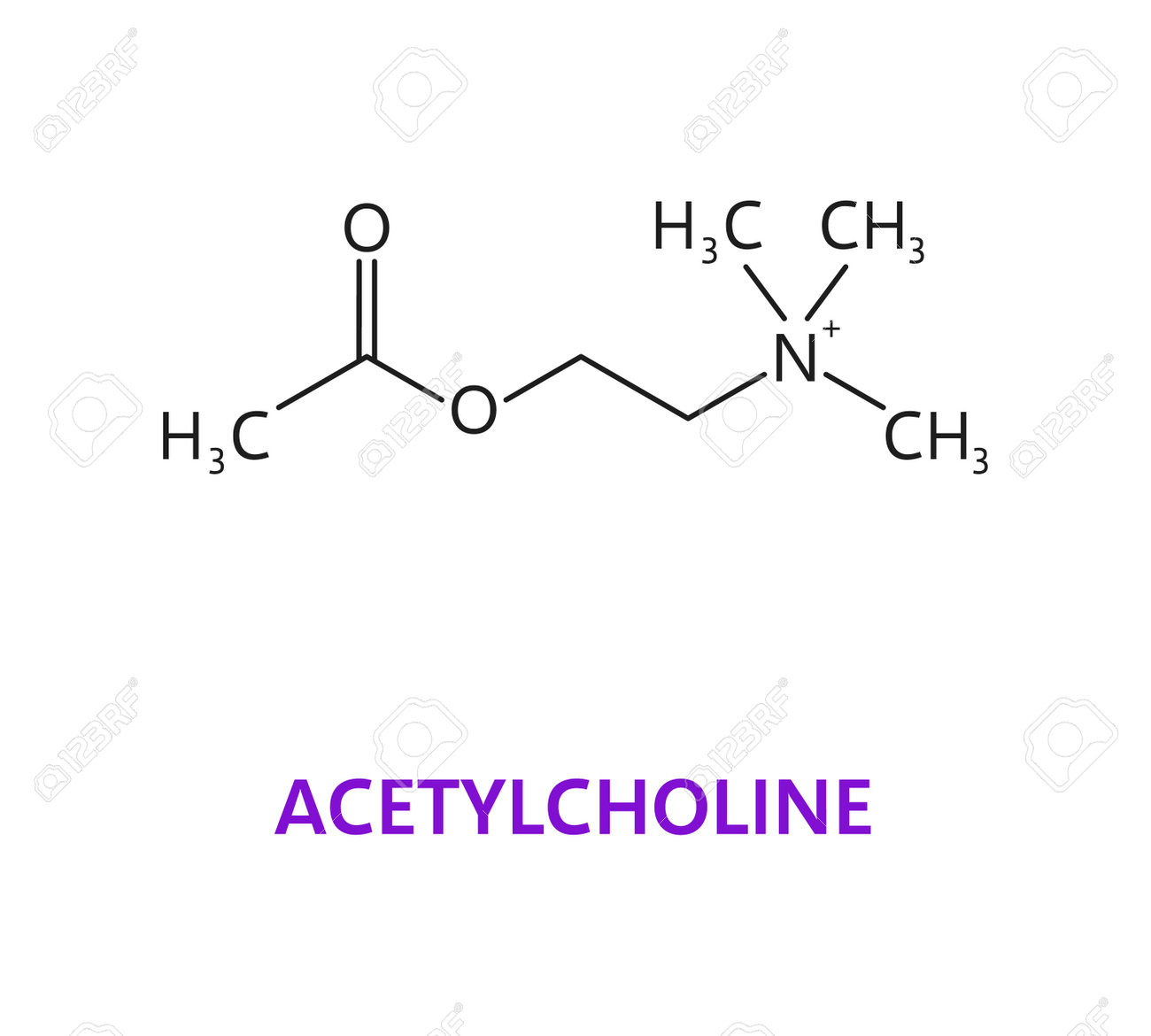 Neurotransmitter, Acetylcholine ACh Chemical Formula And Molecule, Vector  Molecular Structure. Acetylcholine, Ester Of Acetic Acid And Choline,  Neurotransmitter Of Neuron Receptors In Nervous System Royalty Free SVG,  Cliparts, Vectors, and Stock ...
