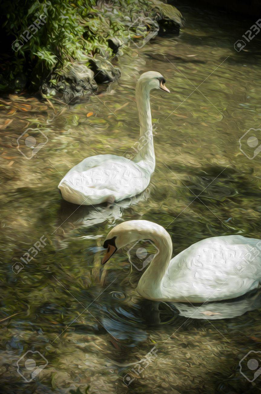 湖で白鳥の絵 の写真素材 画像素材 Image