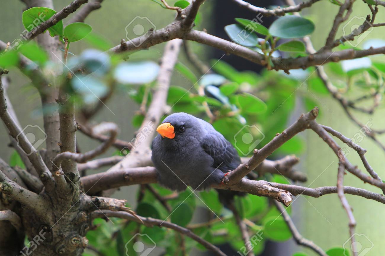 etiam-dictum-ipsum-a-felis