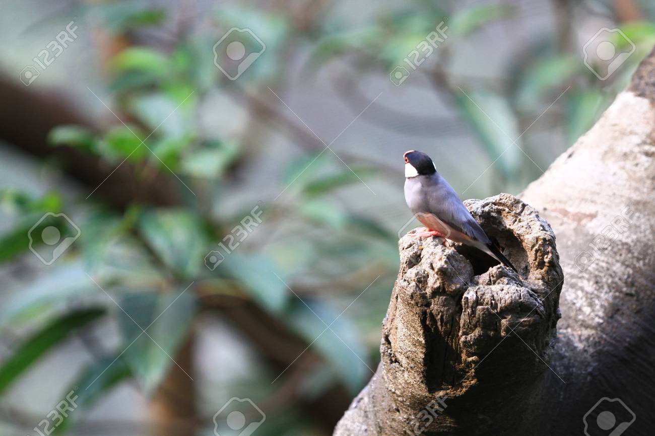 etiam-dictum-ipsum-a-felis