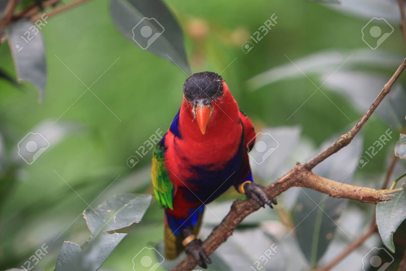 etiam-dictum-ipsum-a-felis