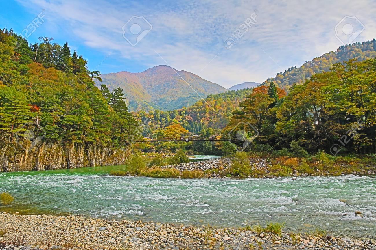 Beautiful Landscape In The Japanese Mountains With A Wild River, Red Bridge  And Rock Covered By Typical Pines Stock Photo, Picture and Royalty Free  Image. Image 24250562., image size:1300x866