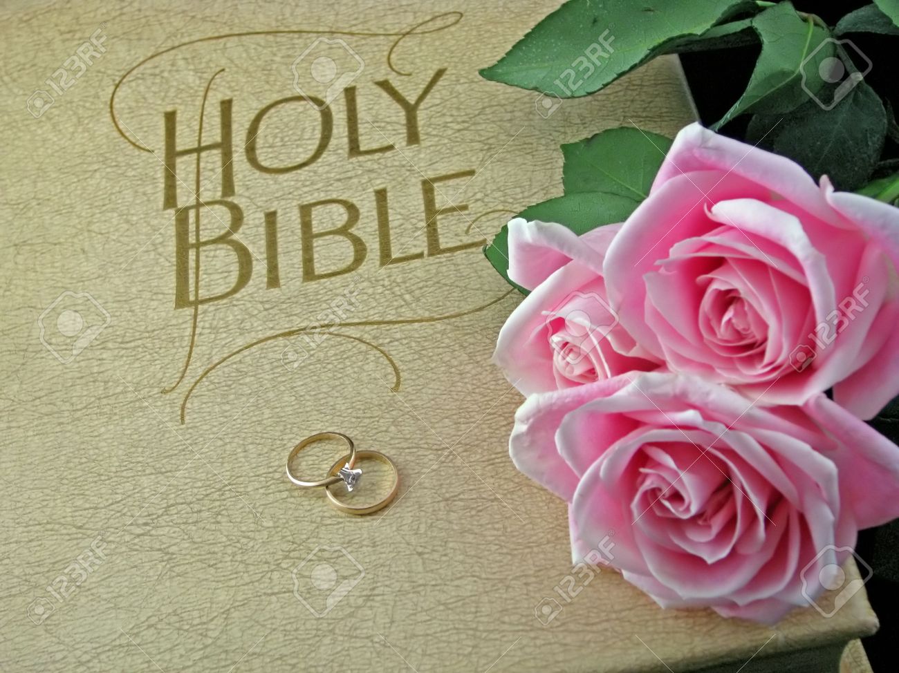 pink roses and wedding rings on the bible stock photo picture and