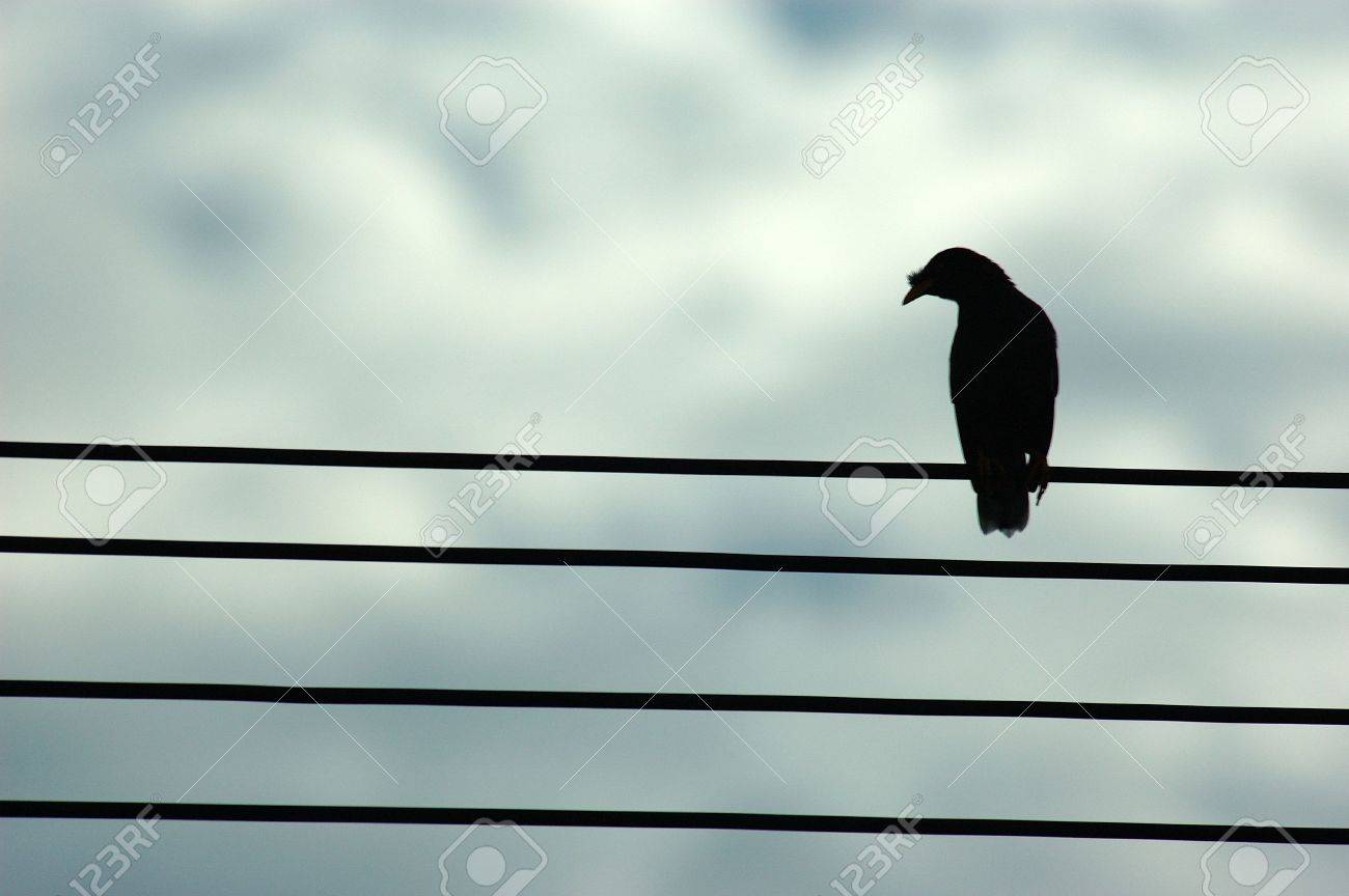 etiam-dictum-ipsum-a-felis