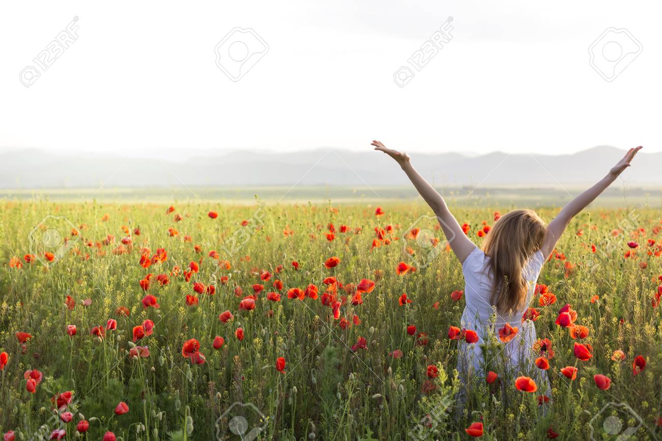 Immagini Stock - Bella Giovane Donna Nel Campo Di Papavero Con Le Mani Giù Indietro Image 80017517.