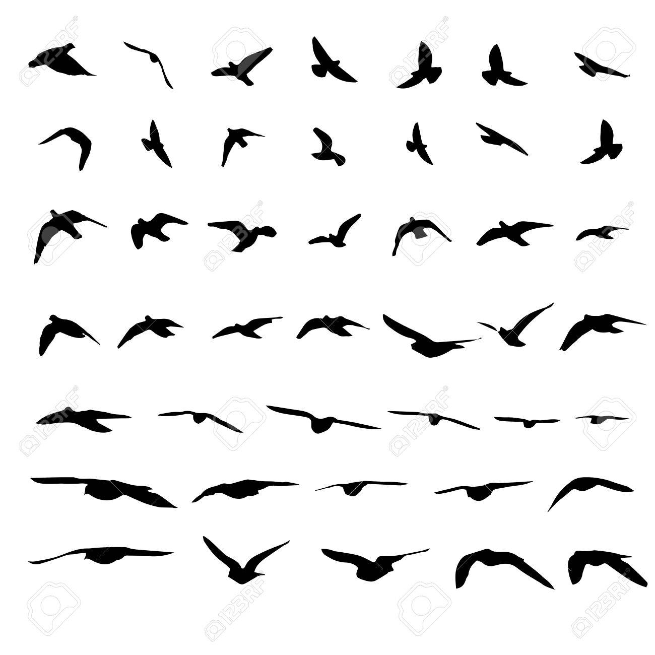 Voler Des Oiseaux Et Des Silhouettes Sur Fond Blanc Illustration Vectorielle Vol D Oiseau Isole Clip Art Libres De Droits Vecteurs Et Illustration Image