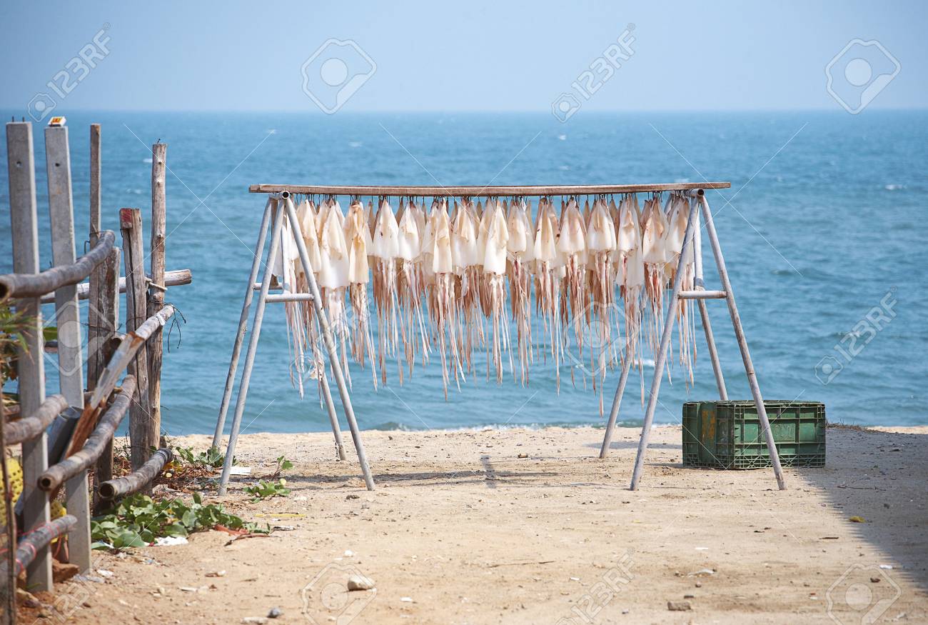 乾燥イカと太陽の光の海 の写真素材 画像素材 Image