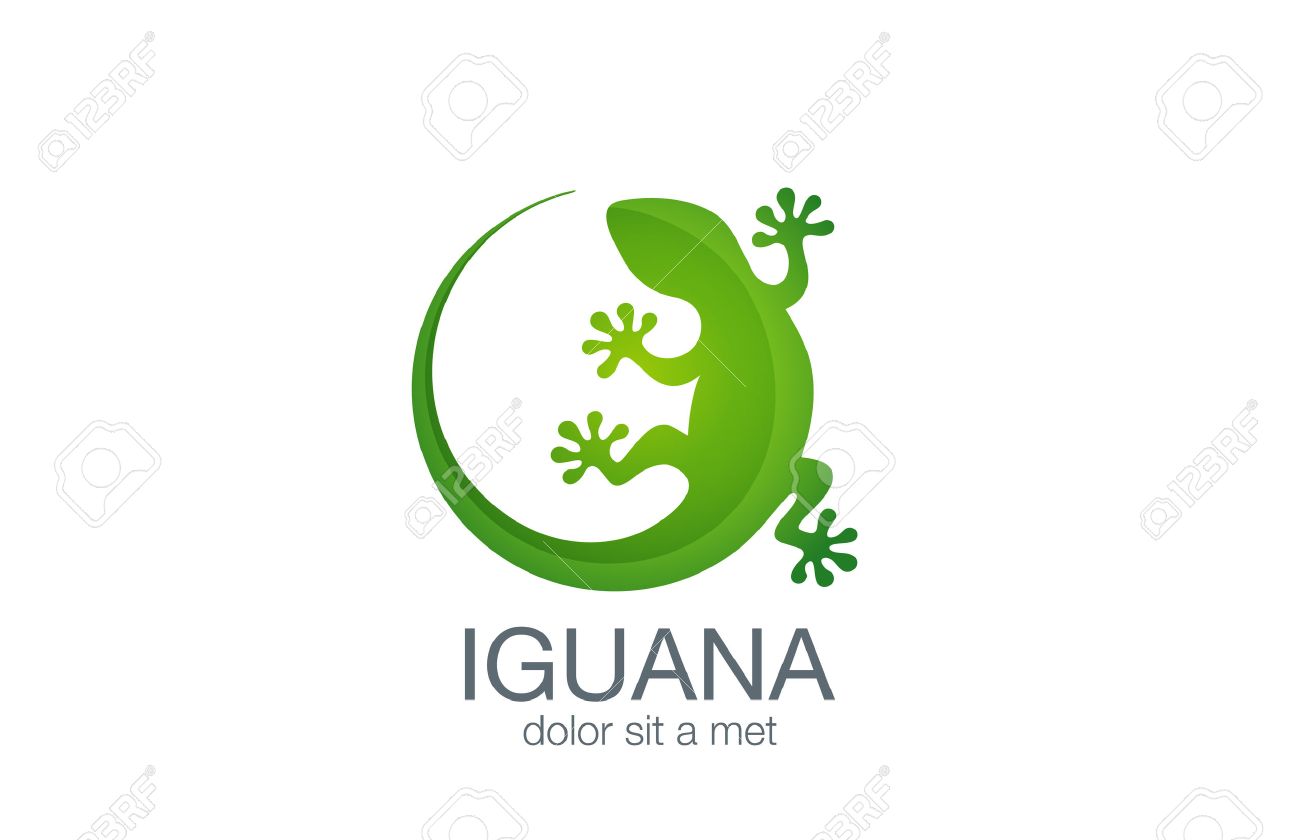 lizard logo design vector