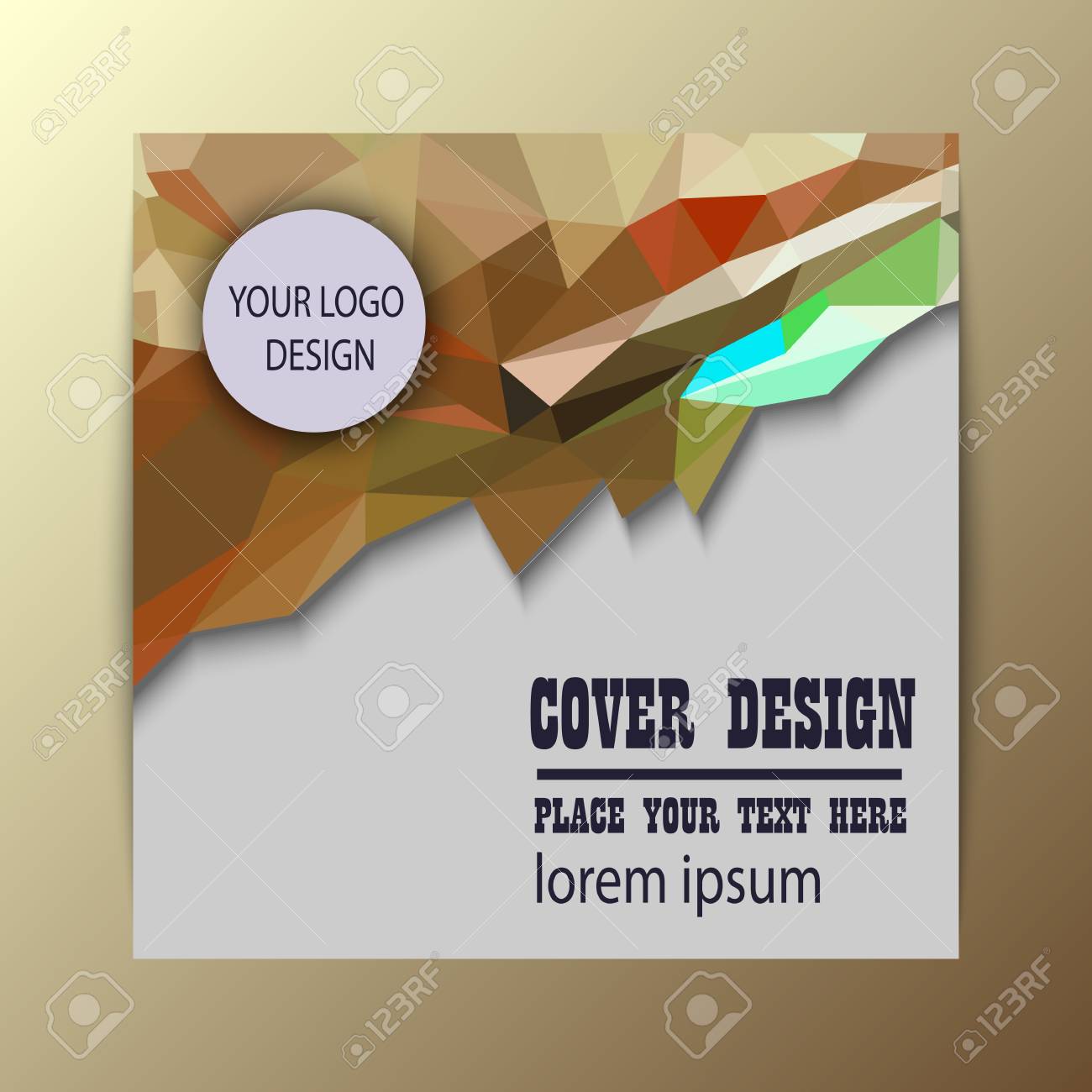 abstract triangle business brochure flyer design vector template