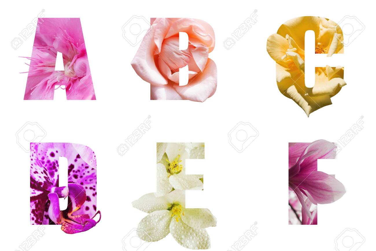 Flower Font Alphabet A B C D E F Made Of Real Aliverose Rose Stock Photo Picture And Royalty Free Image Image 139227997