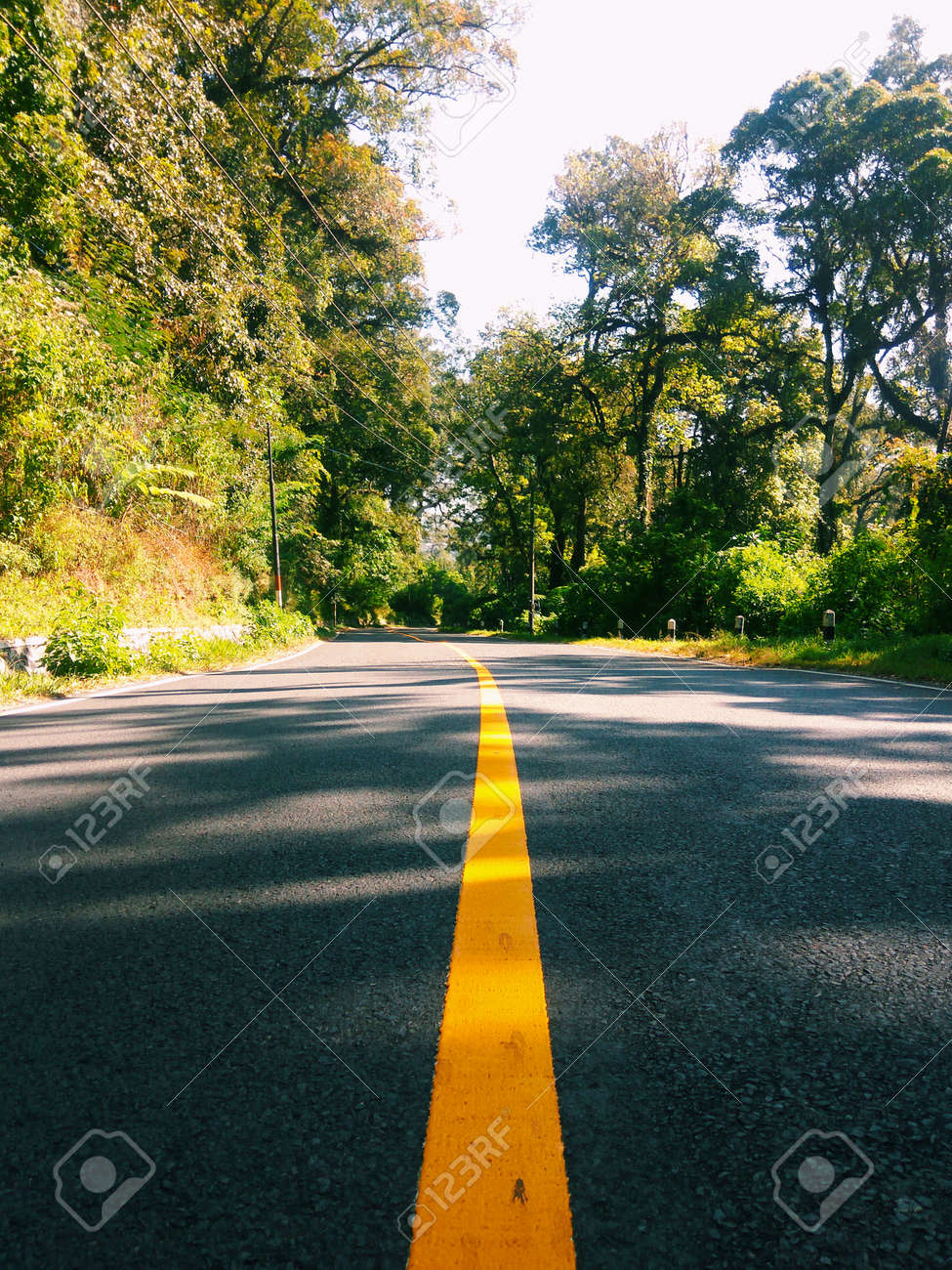 etiam-dictum-ipsum-a-felis