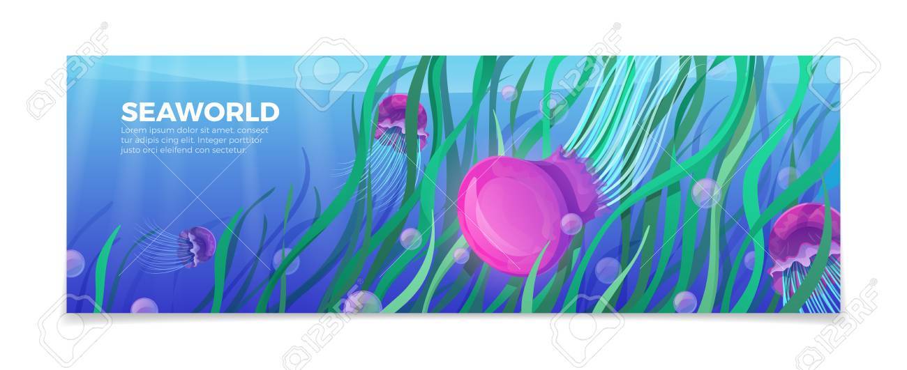under the sea flyer