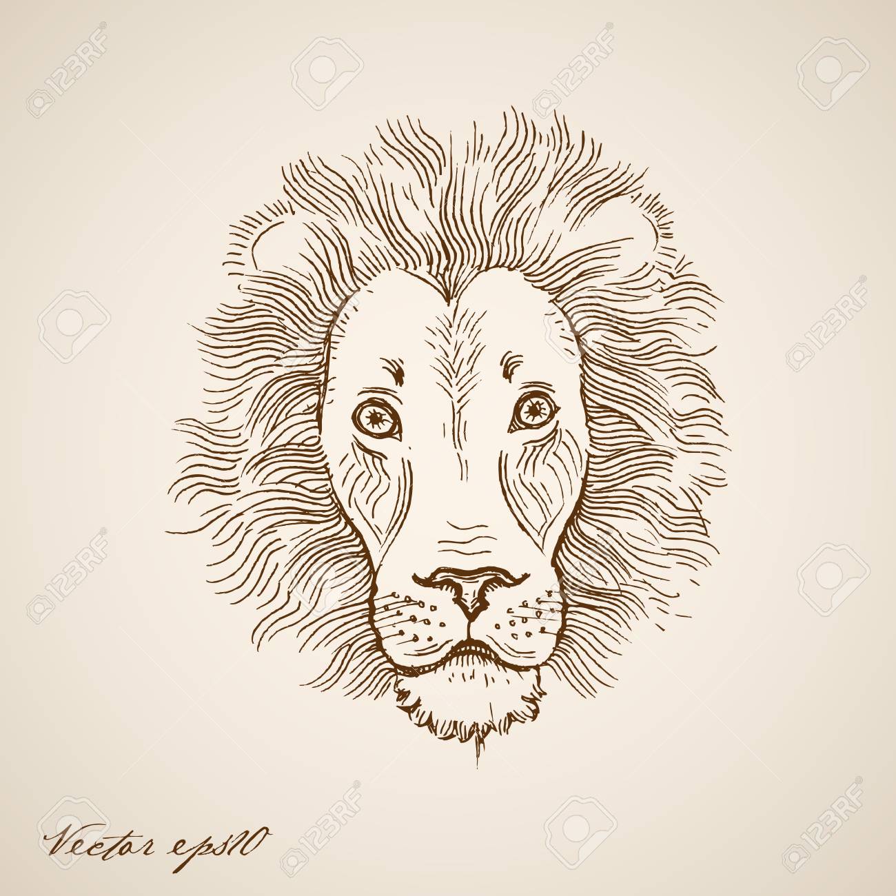 彫刻ヴィンテージ手の描かれたライオンは落書きコラージュです 鉛筆スケッチの野生動物 のイラスト素材 ベクタ Image 彫刻ヴィンテージ手の描かれたライオンは落書きコラージュです 鉛筆スケッチの野生動物 のイラスト素材 ベクタ Image
