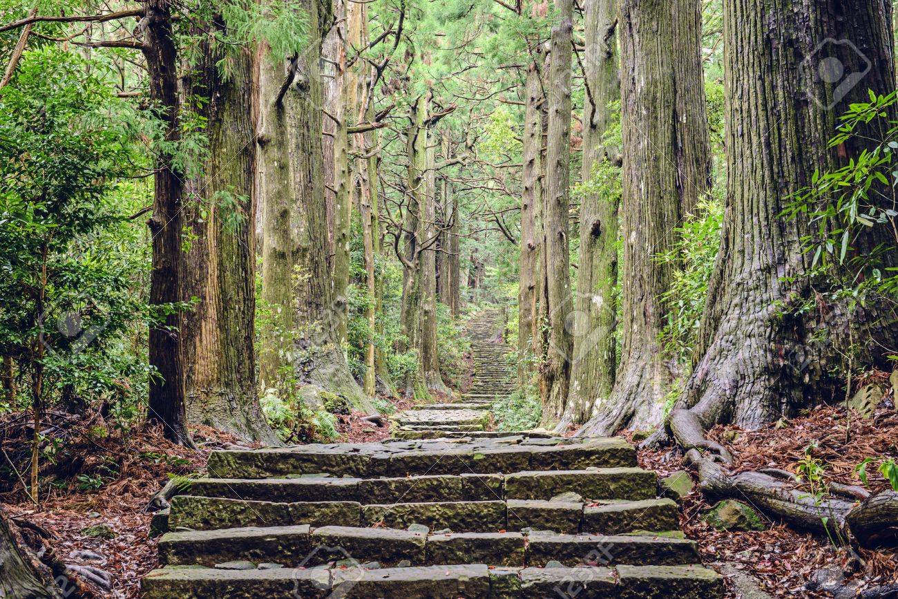 熊野古道大門坂 和歌山県那智の神聖な道で の写真素材 画像素材 Image 熊野古道大門坂 和歌山県那智の神聖な道で の写真素材 画像素材 Image